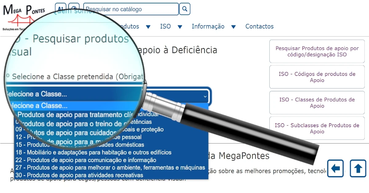 Formulário de pesquisa acessível, adaptado a cegos e pessoas com baixa visão
